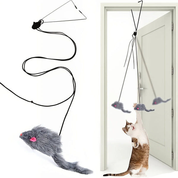 Interactive Door Hanging Cat Toy with Black Mouse